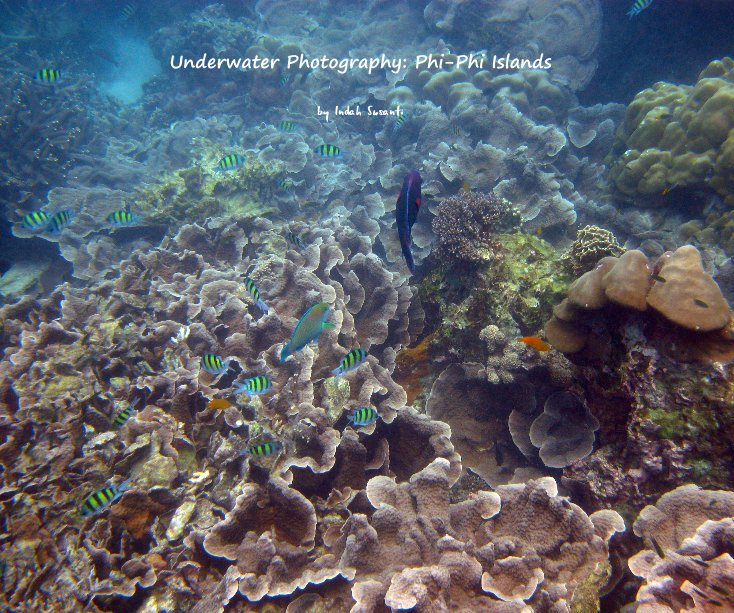 View Underwater Photography: Phi-Phi Islands by indahs