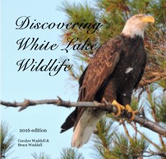 Discovering White Lake Wildlife book cover