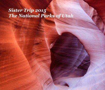 Sister Trip 2015 book cover