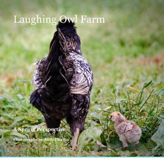 Bekijk Laughing Owl Farm op Photography by Andy Ciordia