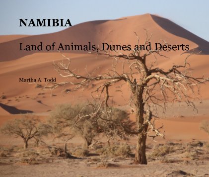 NAMIBIA Land of Animals, Dunes and Deserts Martha A. Todd book cover