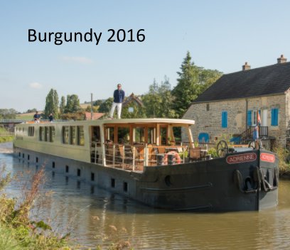 Burgundy 2016 book cover