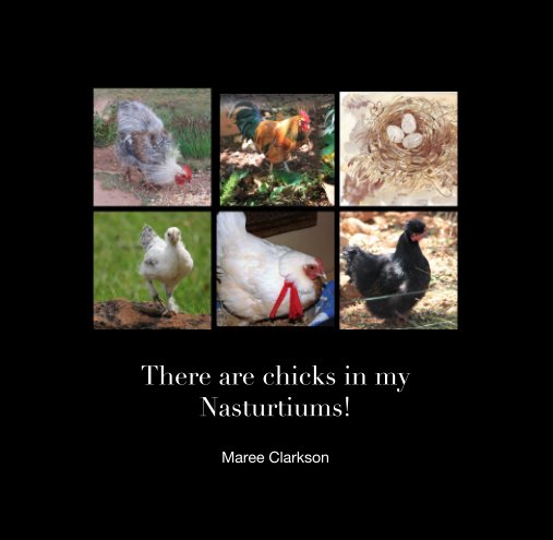 View There are chicks in my Nasturtiums! by Maree Clarkson