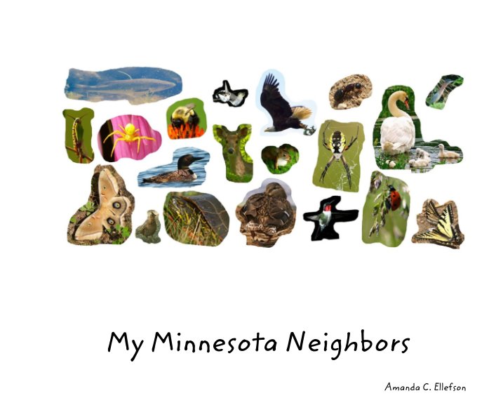 Bekijk My Minnesota Neighbors op Amanda C. Ellefson