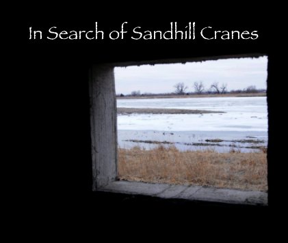 In Search of Sandhill Cranes book cover