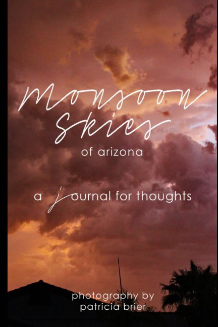 View Monsoon Skies by Patricia Brier