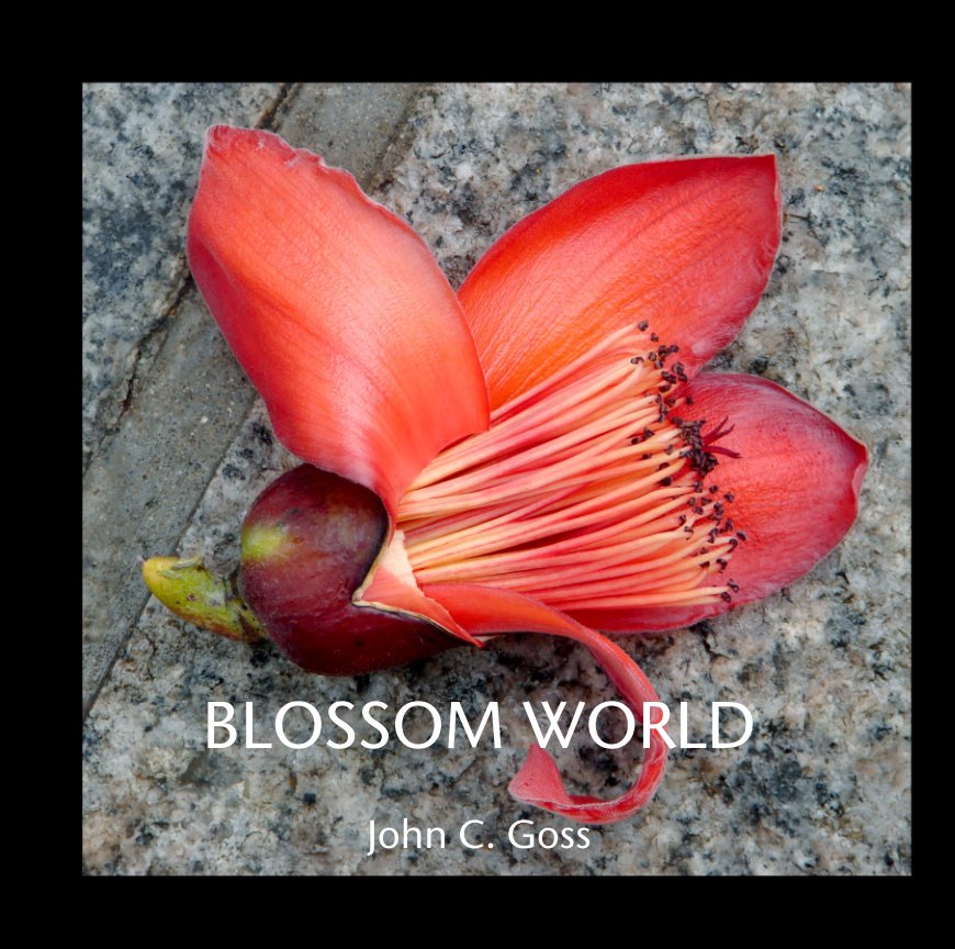 View Blossom World by John C. Goss