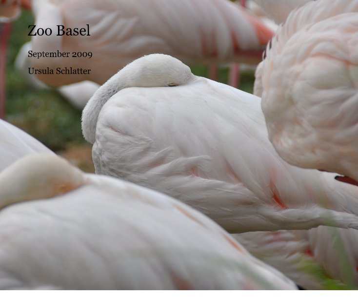 Ver Zoo Basel por Ursula Schlatter