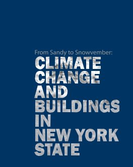 From Sandy to Snowvember book cover