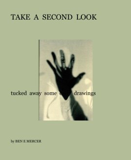 TAKE A SECOND LOOK book cover