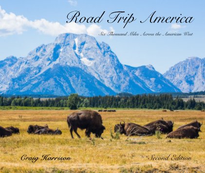 Road Trip America book cover