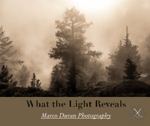 What the Light Reveals book cover