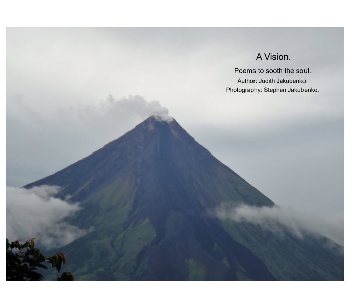 Ver A Vision. por Judith Jakubenko, Stephen Jakubenko