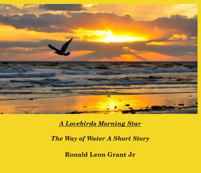 A Lovebirds Morning Star The Way of Water A Short Story book cover
