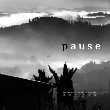 photo essay pause book cover