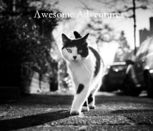 Awesome Adventures book cover