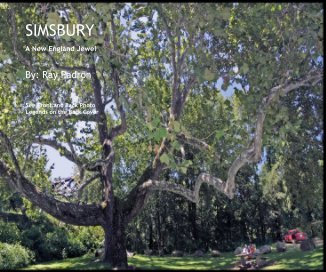 SIMSBURY book cover
