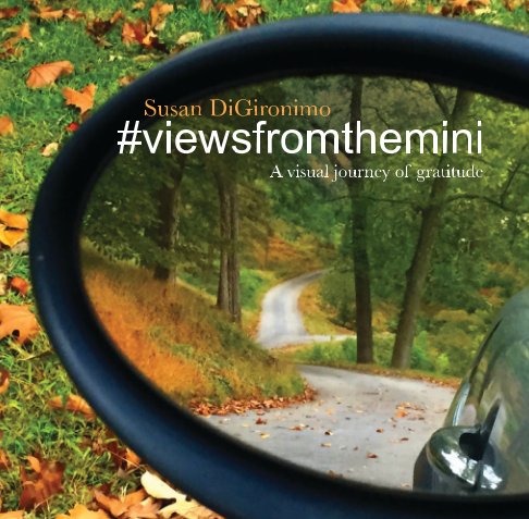View #viewsfromthemini softcover by Susan DiGironimo