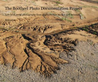 The Bootheel Photo Documentation Project book cover