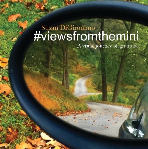 View #viewsfromthemini hardcover by Susan DiGironimo