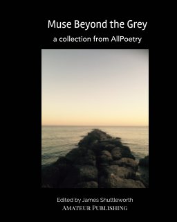 Muse Beyond the Grey book cover