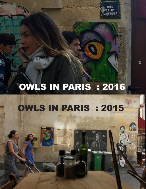 View owls in paris by nite owl
