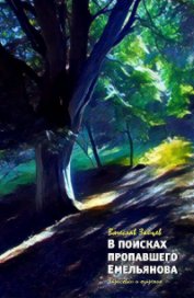 В поисках пропавшего Емельянова book cover