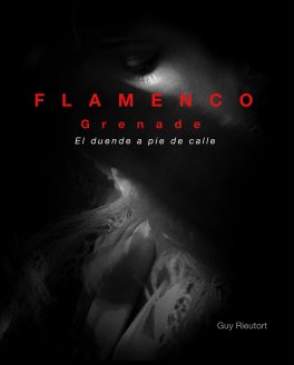 FLAMENCO | Grenade | El duende a pie de calle book cover