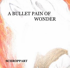 A BULLET PAIN OF WONDER book cover
