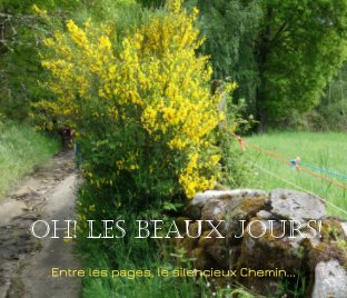 Oh! les beaux jours ! book cover