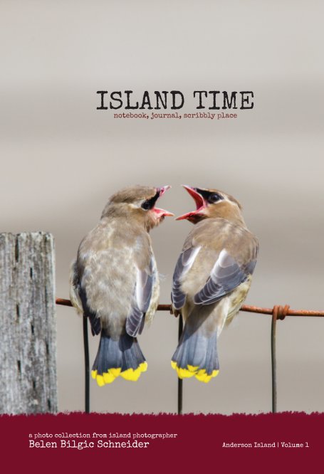 Ver Island Time - Volume 1 (Hardcover) por Belen Bilgic Schneider
