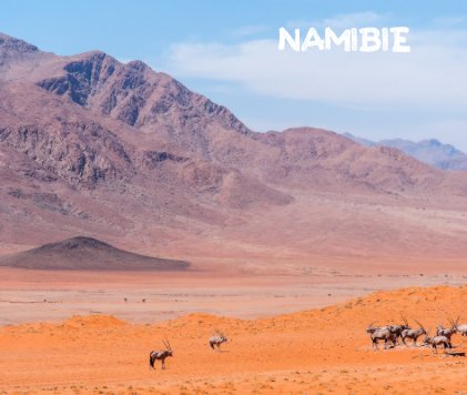 NAMIBIE book cover