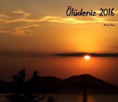 Ölüdeniz 2016 book cover