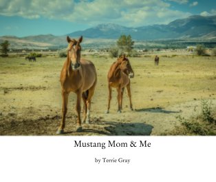 Mustang Mom and Me book cover