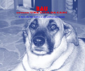 BAU book cover