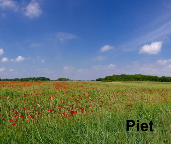 View Piet by Bernard Veerman