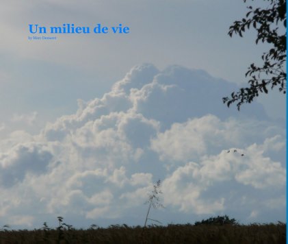Un milieu de vie by Marc Demaret book cover