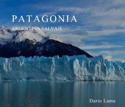 PATAGONIA book cover