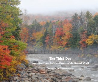The Third Day book cover