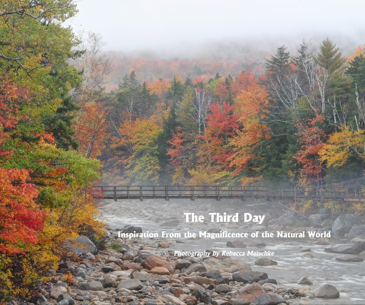 View The Third Day by Photography by Rebecca Metschke