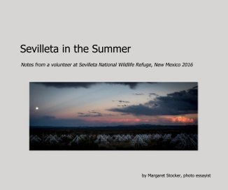 Sevilleta in the Summer book cover