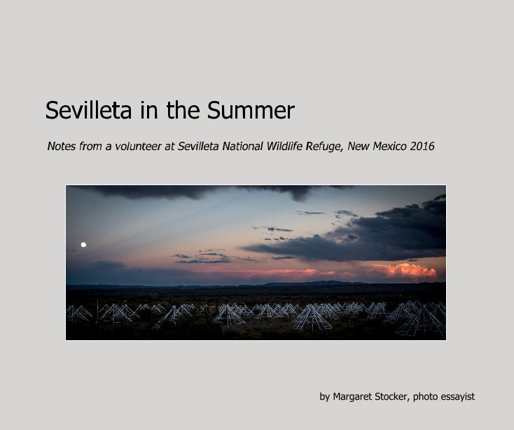 View Sevilleta in the Summer by Margaret Stocker, photo essayist