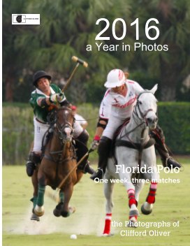 2016 a Year in Photographs book cover
