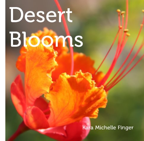 View Desert Blooms by Kara Finger