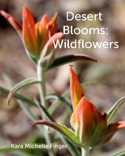 Desert Bloooms book cover