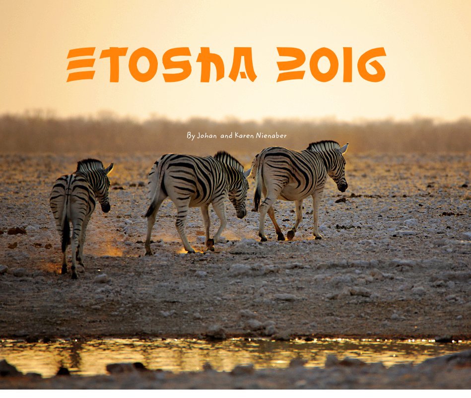 View Etosha 2016 by Karen Nienaber