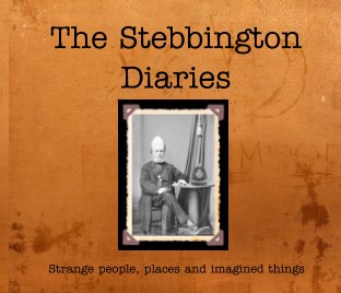 The  Stebbington Diaries book cover