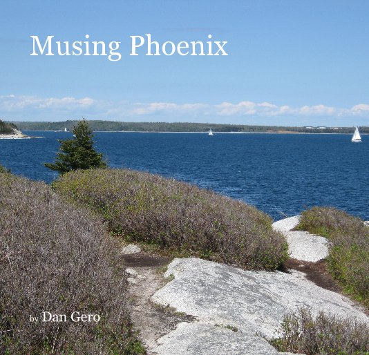 View Musing Phoenix by Dan Gero