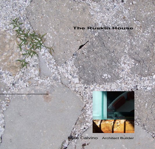 Ver The Ruskin House (hardcover dust jacket) por Mike Calvino, Architect