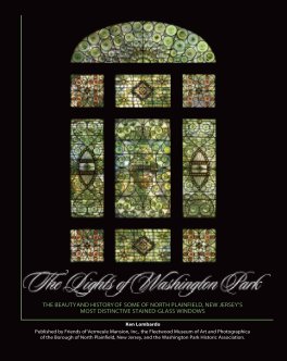The Lights of Washington Park book cover